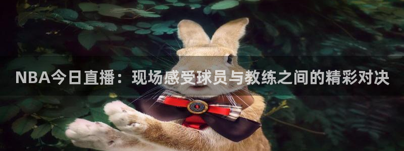9255tv直播无插件nba：NBA今日直播：现场感受球员与教练之间的精彩对决