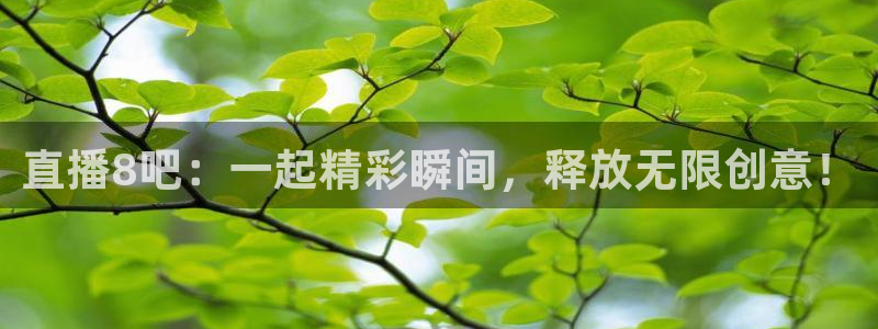 9255tv直播nba在线直播：直播8吧：一起精彩瞬间，释放无限创意！