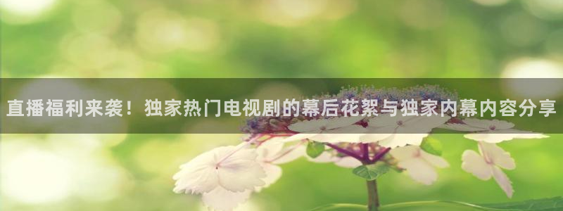 9255tv直播nba在线观看：直播福利来袭！独家热门电视剧的幕后花絮与独家内幕内容分享