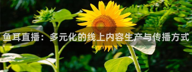 9255tv直播nba在线观看：鱼耳直播：多元化的线上内容生产与传播方式