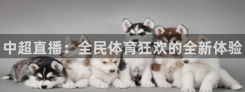 9255tv直播nba在线观看：中超直播：全民体育狂欢的全新体验