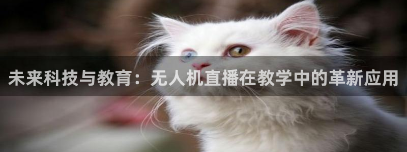 9255tv直播无插件nba：未来科技与教育：无人机直播在教学中的革新应用
