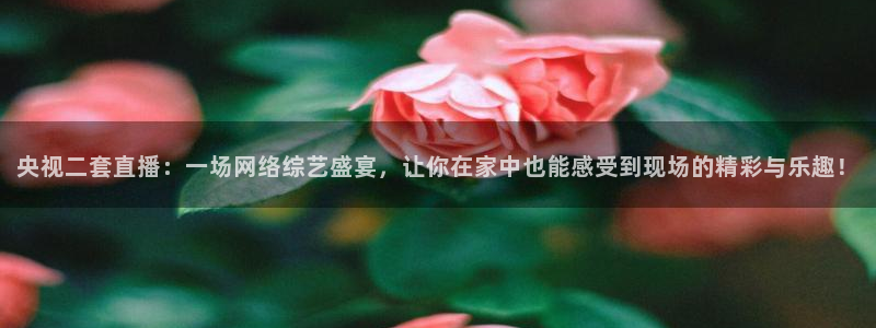 9255tv直播无插件nba：央视二套直播：一场网络综艺盛宴，让你在家中也能感受到现场的精彩与乐趣！