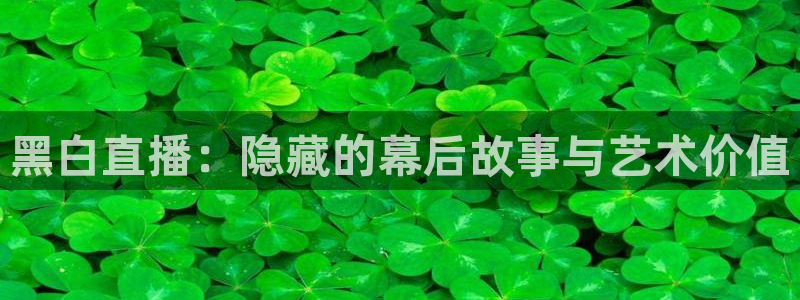 9255tv直播nba在线观看：黑白直播：隐藏的幕后故事与艺术价值