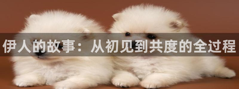9255tv直播无插件nba：伊人的故事：从初见到共度的全过程